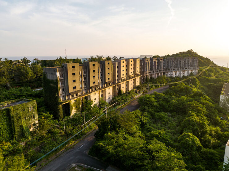 Overgrown concrete apartments, natures resilient reclamation.