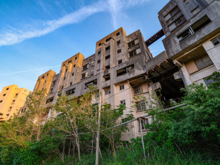 Crumbling urban ruins embraced by resilient nature.
