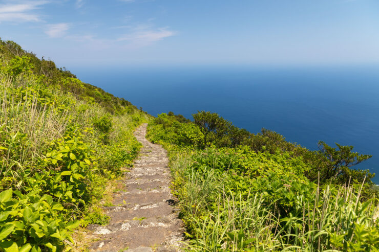 Scenic coastal hiking trail overlooking Pacific Ocean.