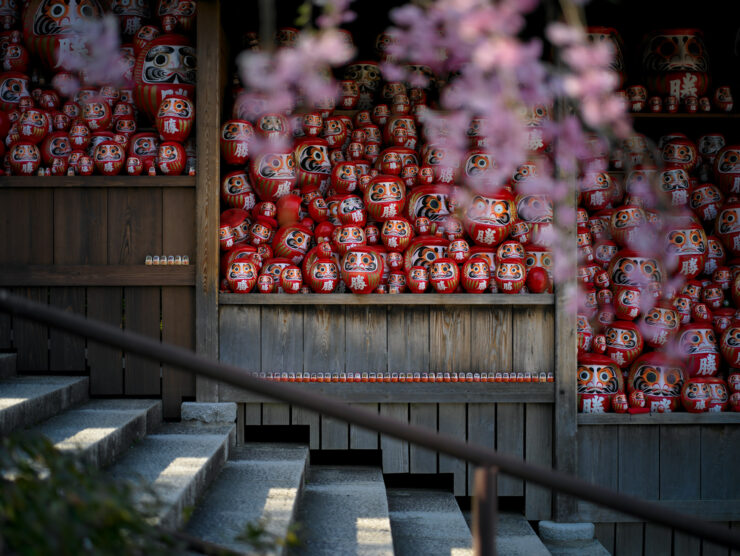 Daruma doll display outside Japanese temple with cherry blossoms.