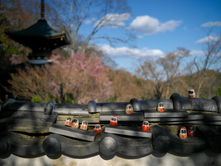 Japanese garden with Daruma dolls, pagoda.
