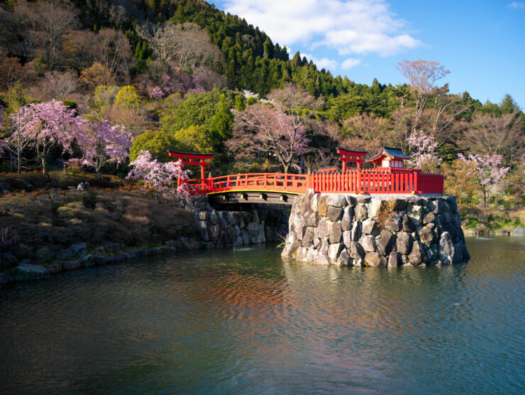 Tranquil Japanese Garden Bridge