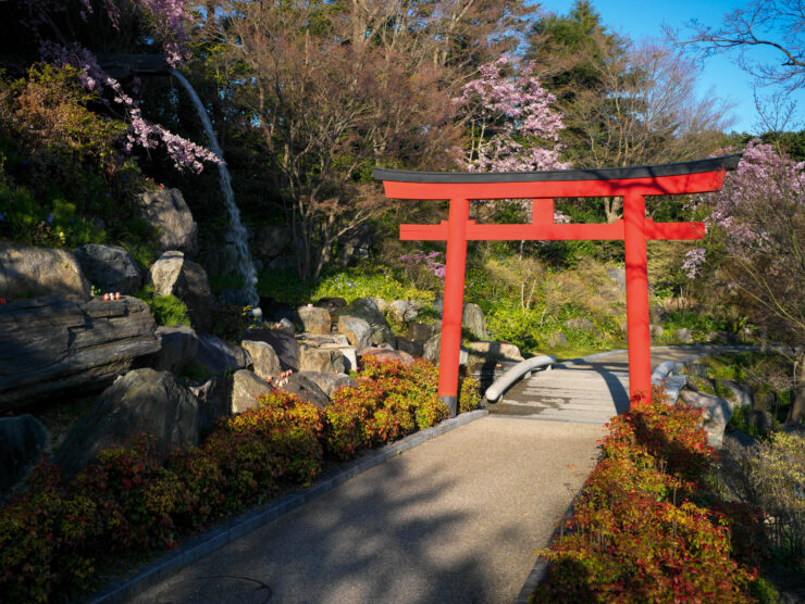 Tranquil Japanese Garden Oasis