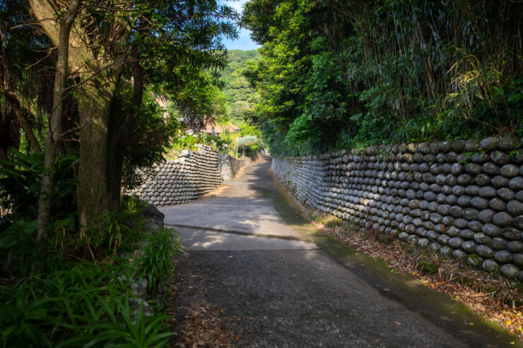 Lush woodland path, curved stone retaining wall