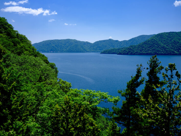 Scenic Lake View Surrounded by Lush Forests