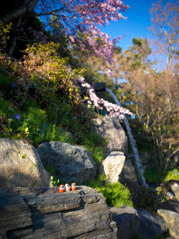 Tranquil cherry blossom garden waterfall scene.