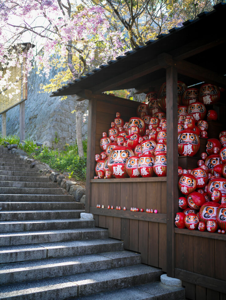 Serene Japanese temple entrance, red Daruma dolls, cherry blossoms.