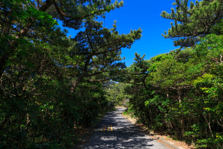 Tranquil Shikinejima Island Nature Retreat