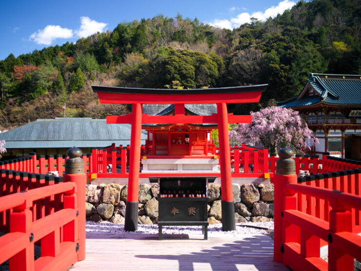 Vibrant Shinto shrine with torii gate, cherry blossoms