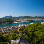 Panoramic coastal town nestled between harbor and verdant hills.