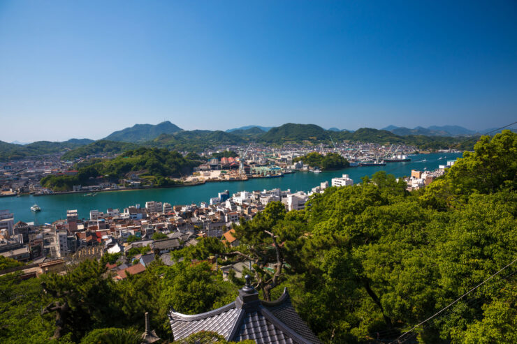 Panoramic coastal town nestled between harbor and verdant hills.