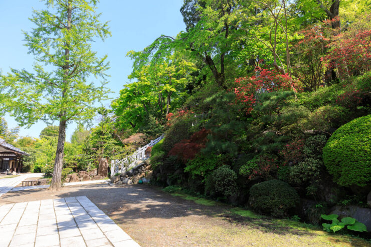 Tranquil Japanese Garden Path at Shorinzan Darumaji Temple