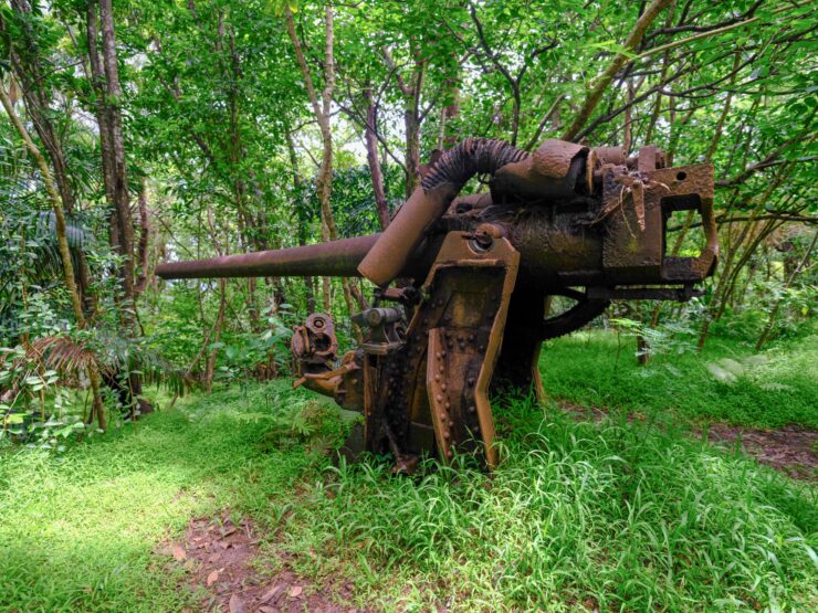 Abandoned WWII tank overwhelmed by resilient nature.