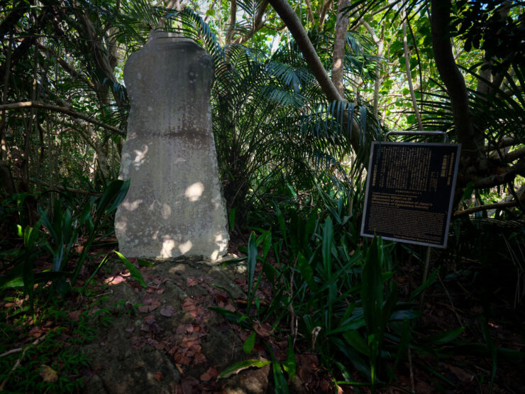 Ancient overgrown monument in lush tropical forest.