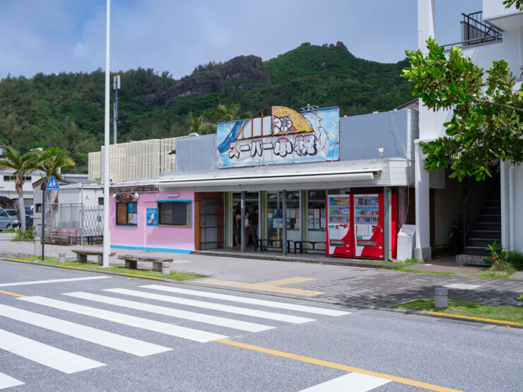 Vibrant Japanese-style mural commercial building, rural setting