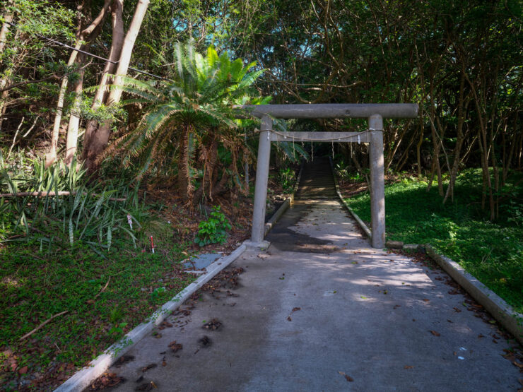 Peaceful forest trail to Shinto shrine entrance
