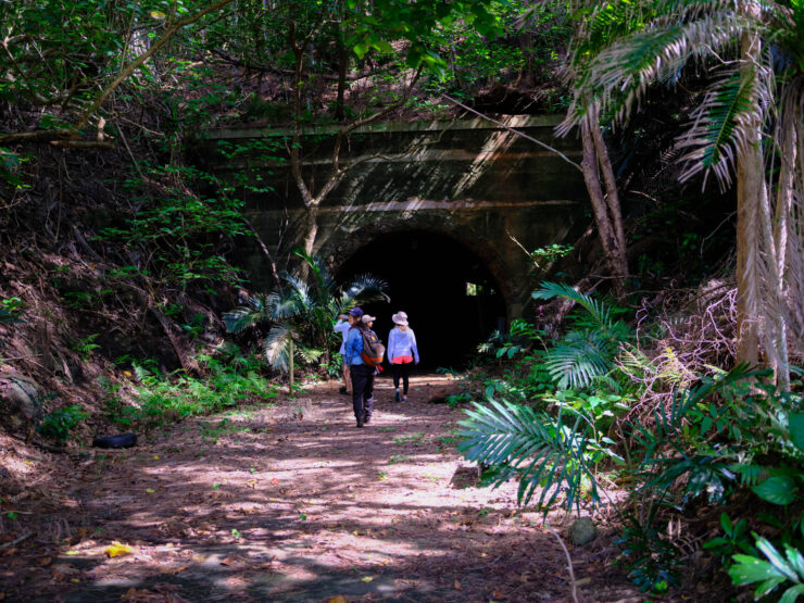 Lush tropical rainforest trail to mysterious tunnel