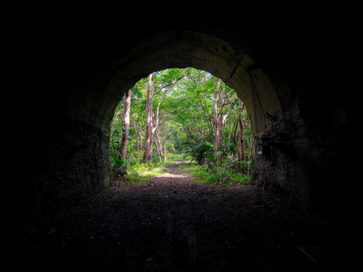 Yoakeyama Forest Path Archway Nature Landscape