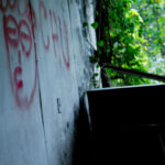 Dilapidated isolation ward reclaimed by natures resilience.