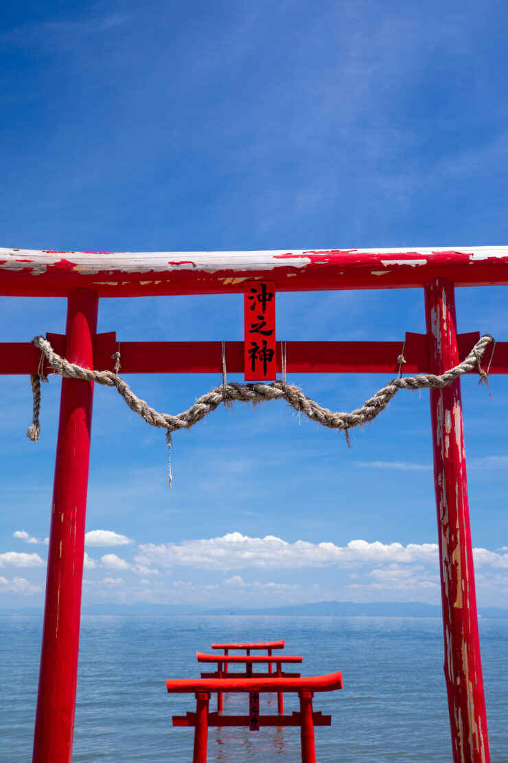 Vibrant Torii Gate Reflecting Serenity
