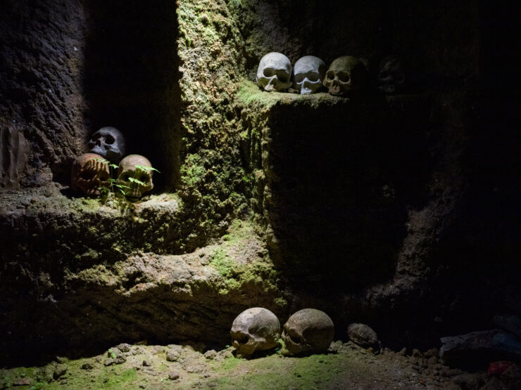 Bone skull cave sculpture quarry atelier