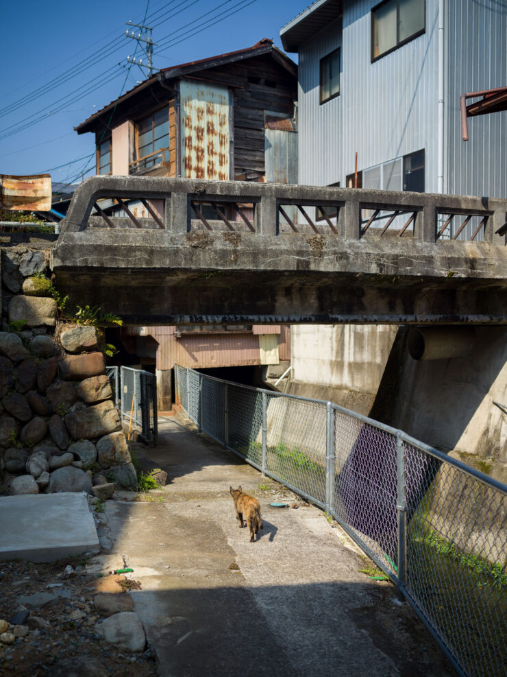 Traditional Japanese hillside architecture with dog