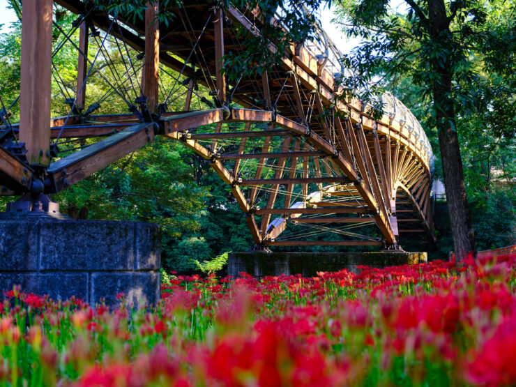 Kinchakuda Park Red Poppy Flower Scenic Bridge