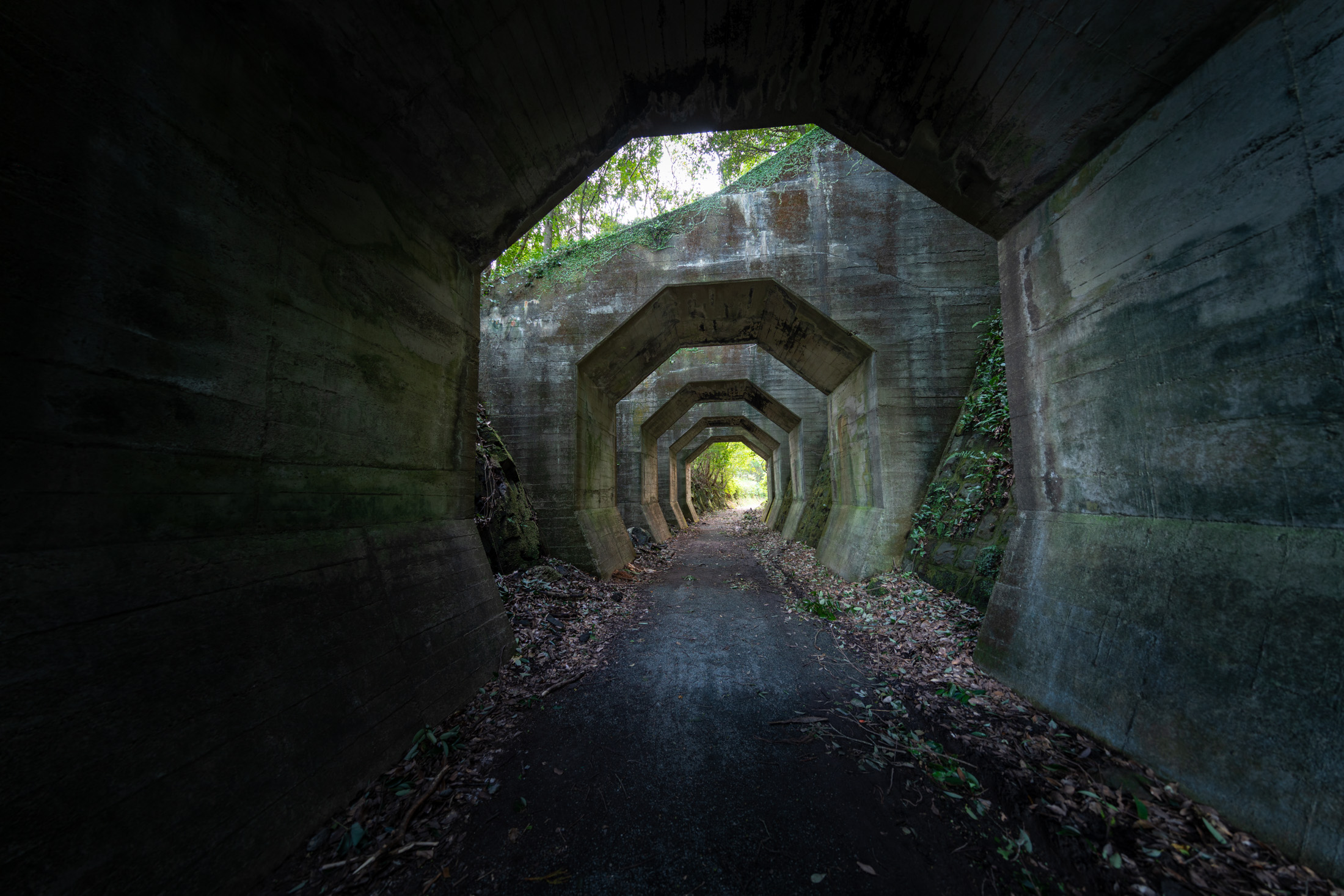 Tunnel