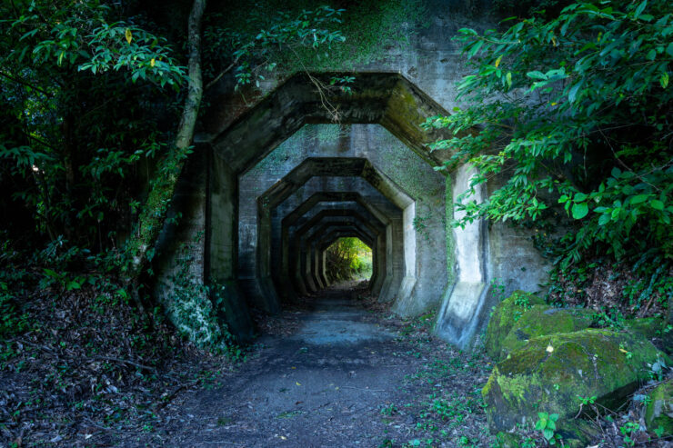 Abandoned forest railway tunnel reclaimed by nature