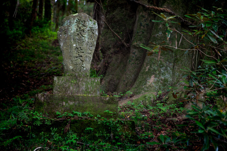 Mossy ancient Japanese gravestone in serene forest.