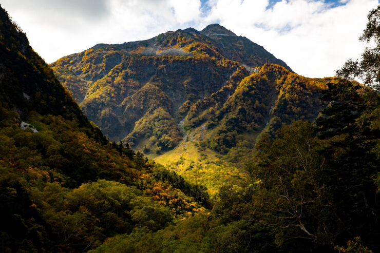 Vibrant autumn colors on towering mountain peaks.