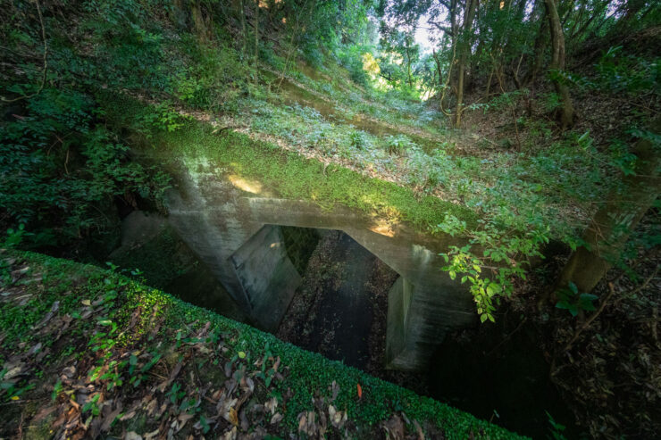 Serene woodland path with octagonal culvert tunnel