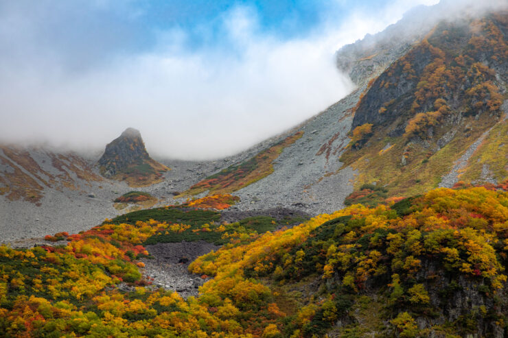 Misty autumn mountain trail, vibrant foliage