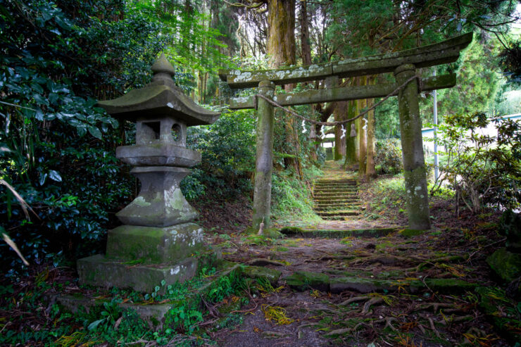 Tranquil forest shrine path, ancient Japan