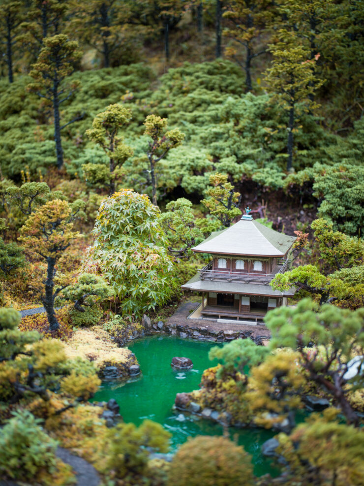 Peaceful Japanese Garden Oasis