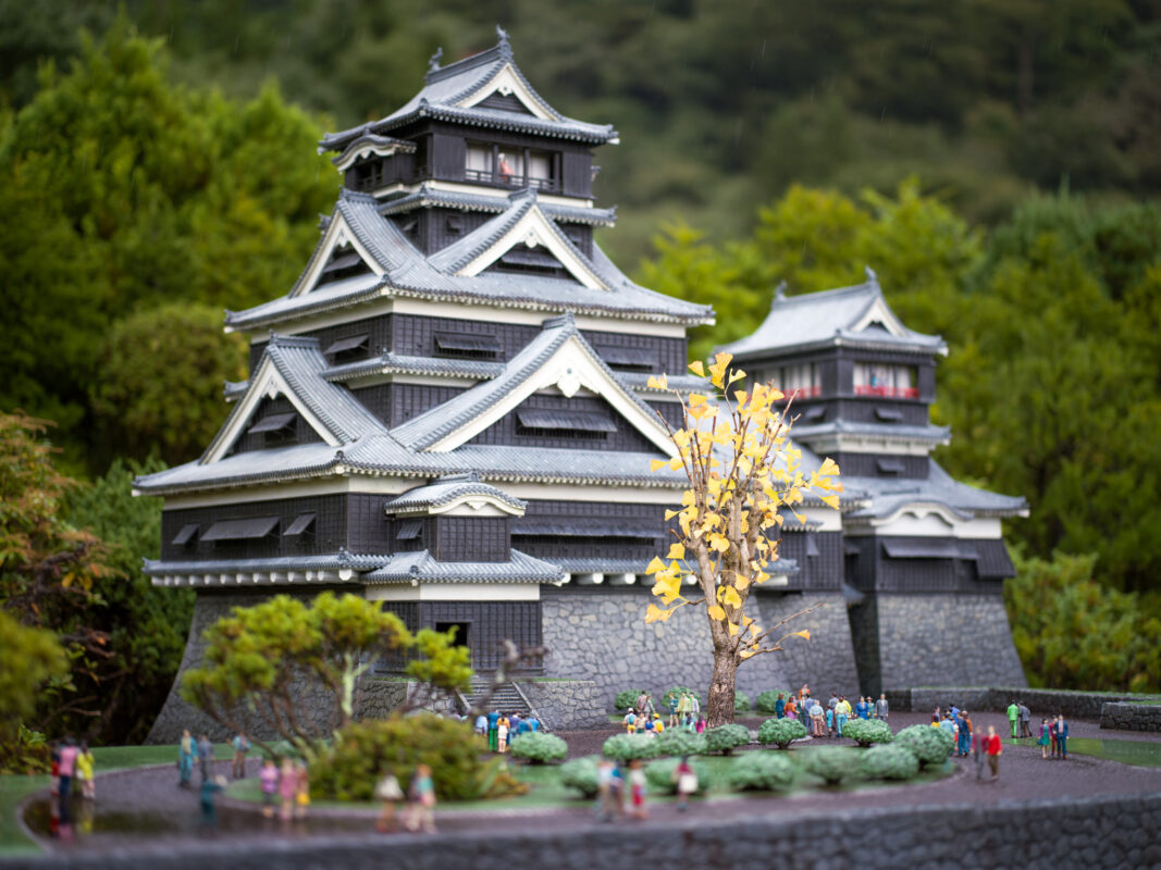 Stunning Kumamoto Castle blooms amidst cherry blossoms.