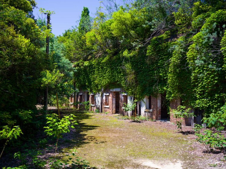 Lush Historic Garden Oasis Sanctuary