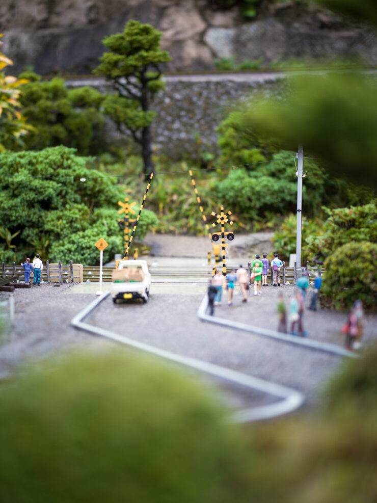 Whimsical tilt-shift path through miniature garden park