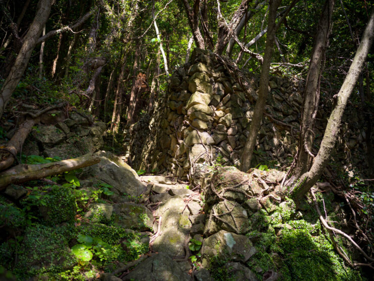 Primeval Forest Rock Archway, Lush Nature Scenery
