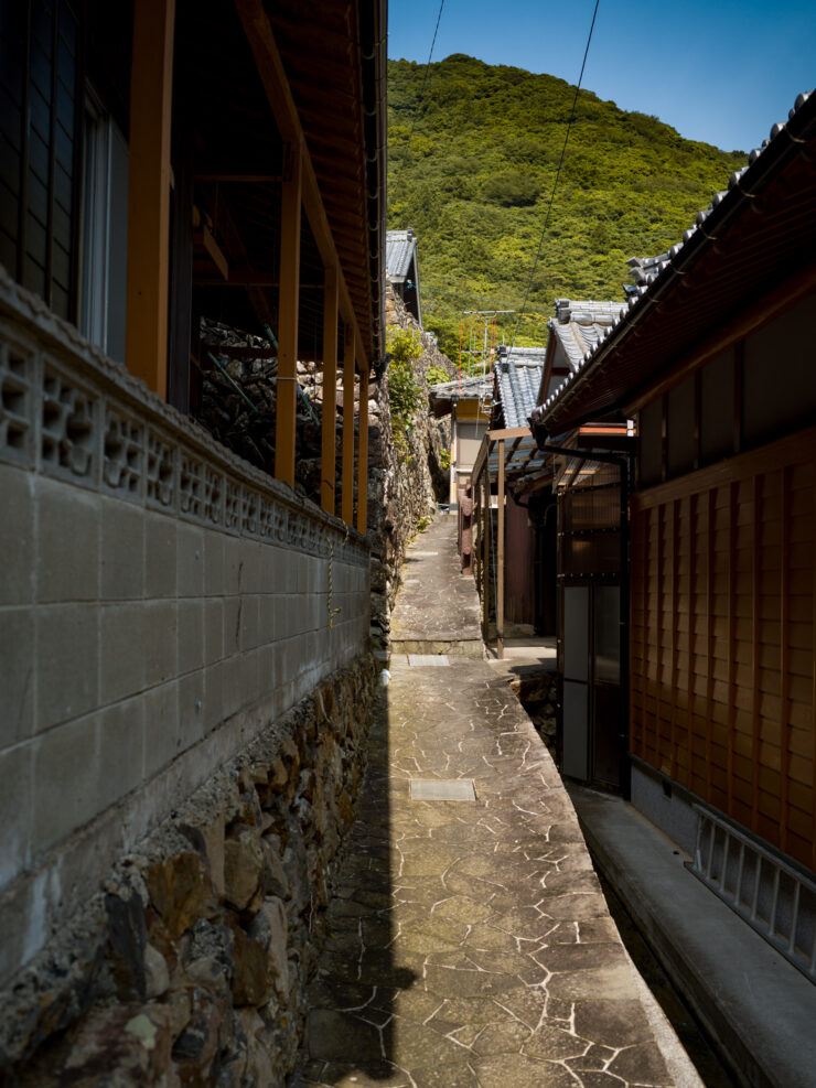Charming traditional Japanese alleyway, scenic backdrop.
