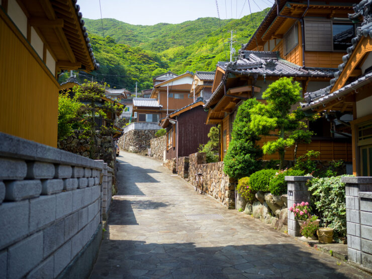 Traditional Japanese Village Architecture Scenery
