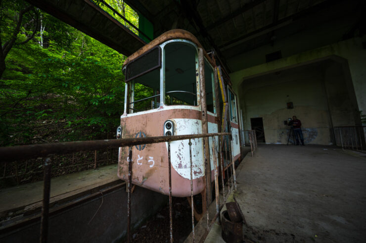Abandoned train engulfed by resilient forest growth.