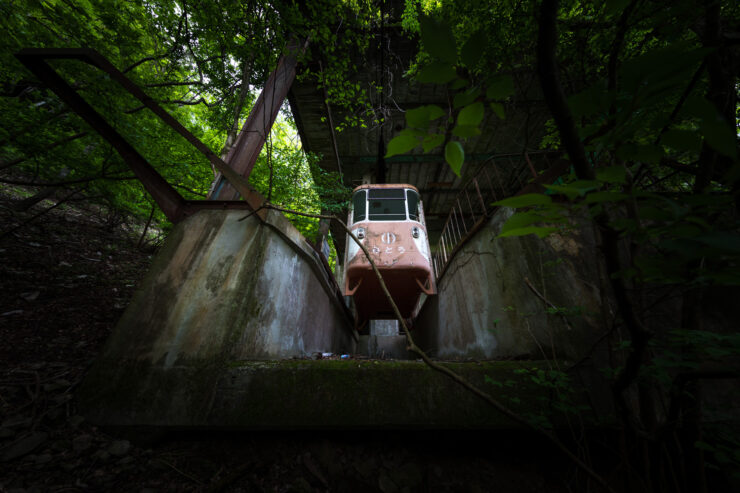 Abandoned woodland vessel overgrown by verdant nature.