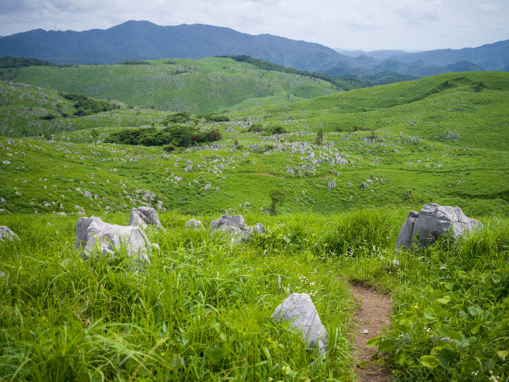 Explore Akiyoshidais scenic rolling meadows in Japan.