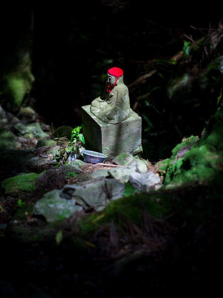 Enchanted forest gnome sanctuary artwork