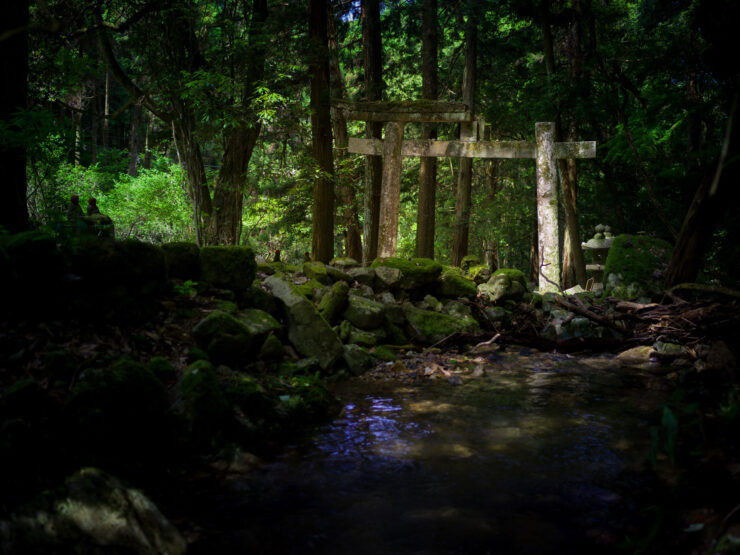 Lush Kyoto forest stream, wooden bridge