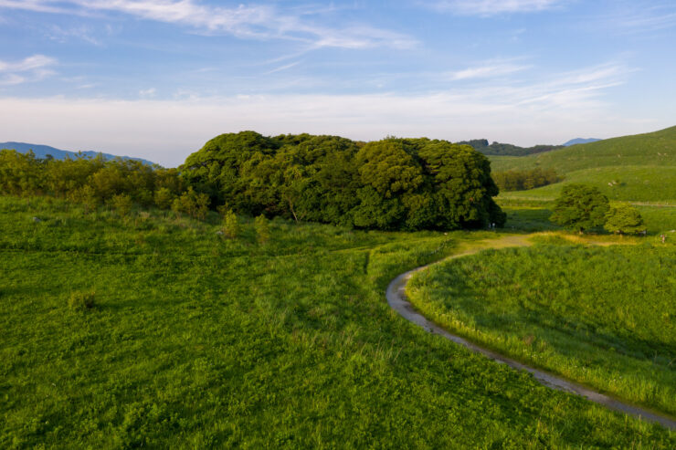 Tranquil meadow path, rolling hills landscape.