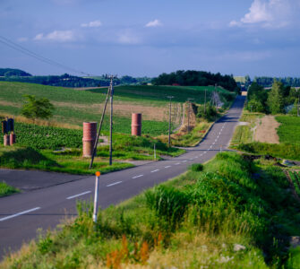 Meandering Country Road Landscape View