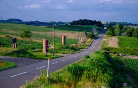 Meandering Country Road Landscape View