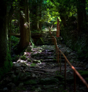 Mossy forest trail at Jinjoji Temple, Japan